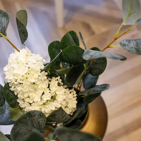 Le 34 * Saint-Tropez