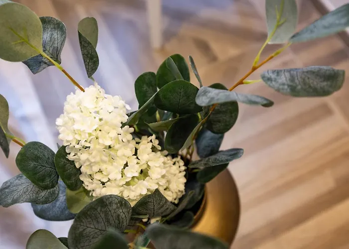 Le 34 * Saint-Tropez